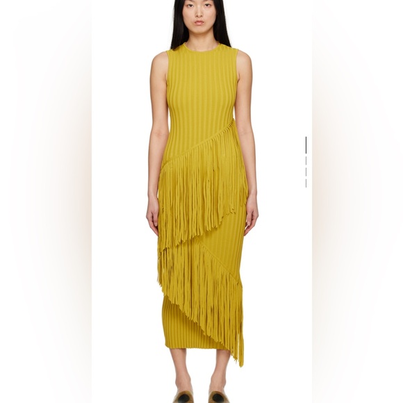 Simon Miller Maxi Fringe Dress in Green - Picture 1 of 6